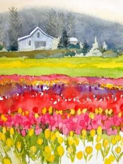 Bright Tulip Fields (LaConnor)
