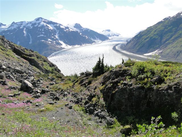 Salmon Glacier