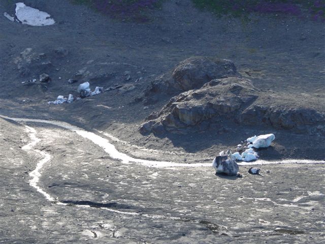 Remnants of summit lake