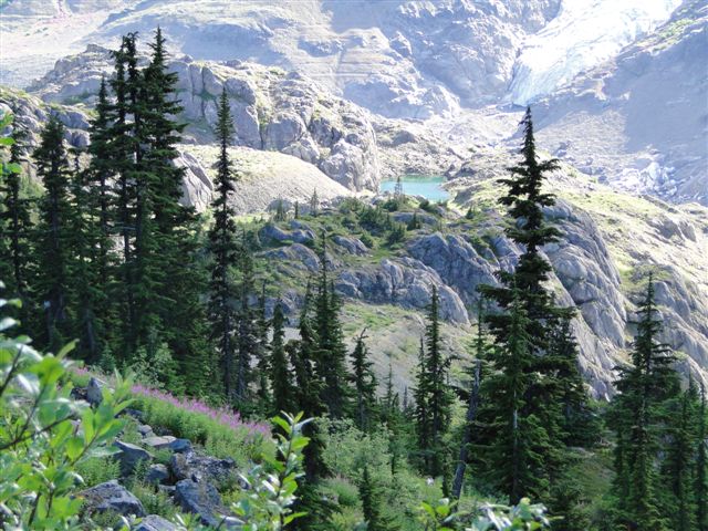 Rich Light north of Salmon Glacier