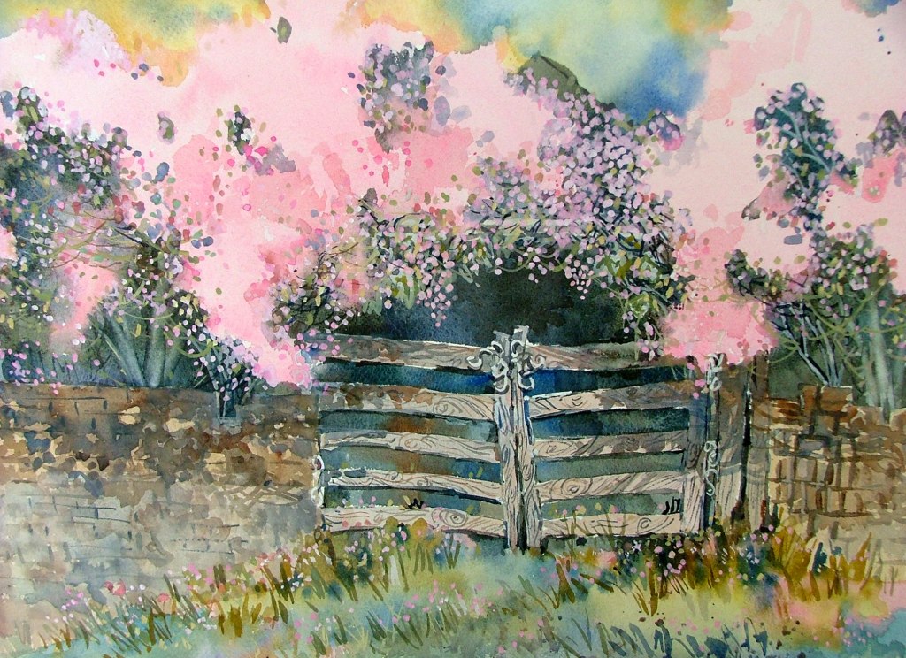 Mexican Gate and Bougainvillea