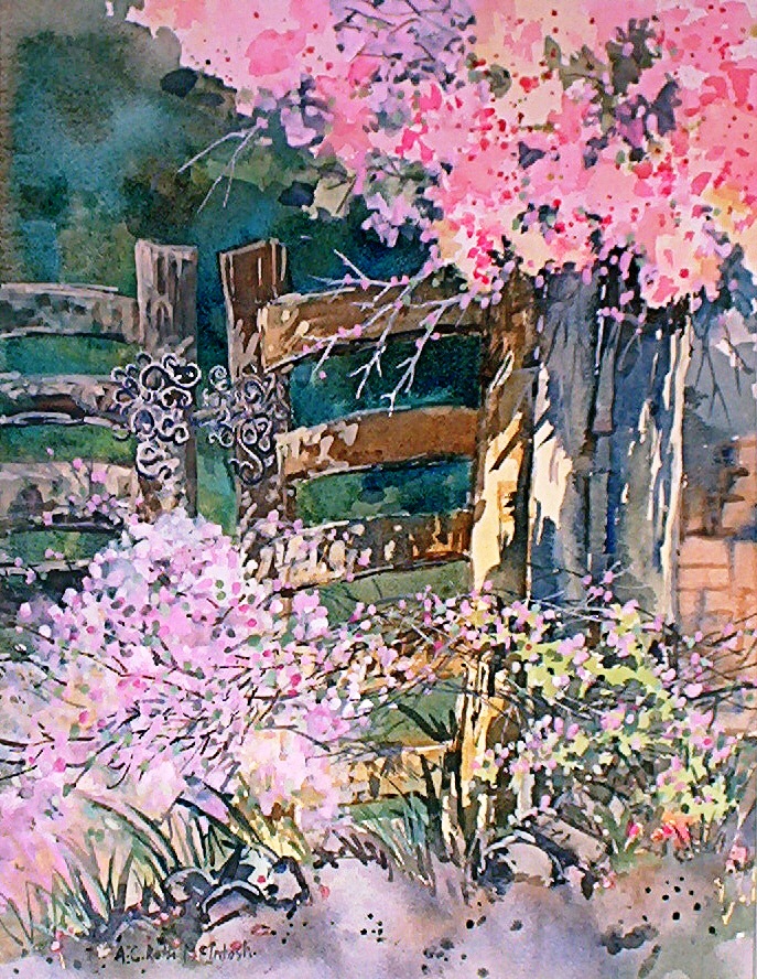 Mexican Gate
