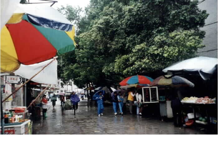 Locals Market