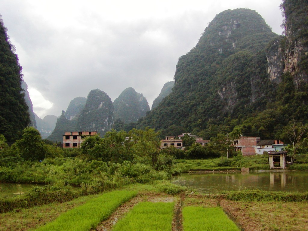 karst mountains and rice paddies