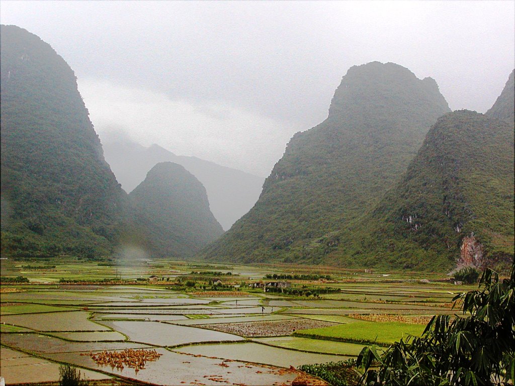 Flooded Fields and Karst Mountains