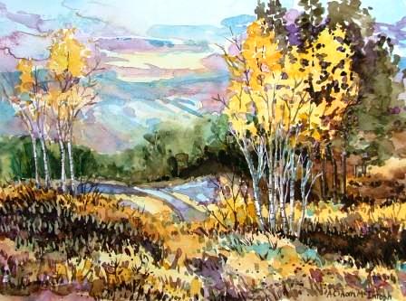 Chute Lake Fall