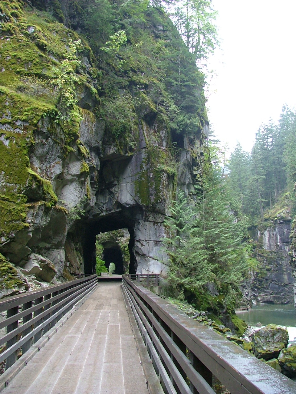 Bridge at Tunnels