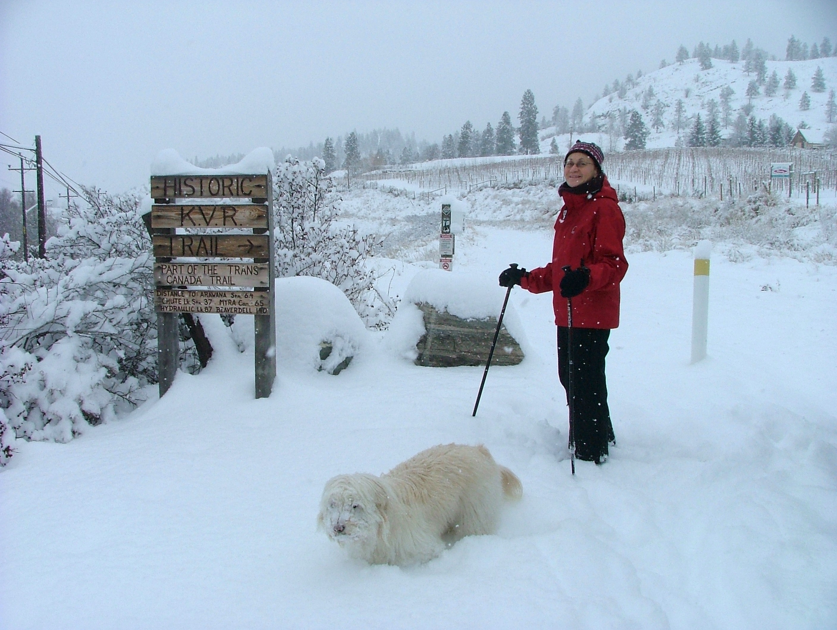 frieda skiing