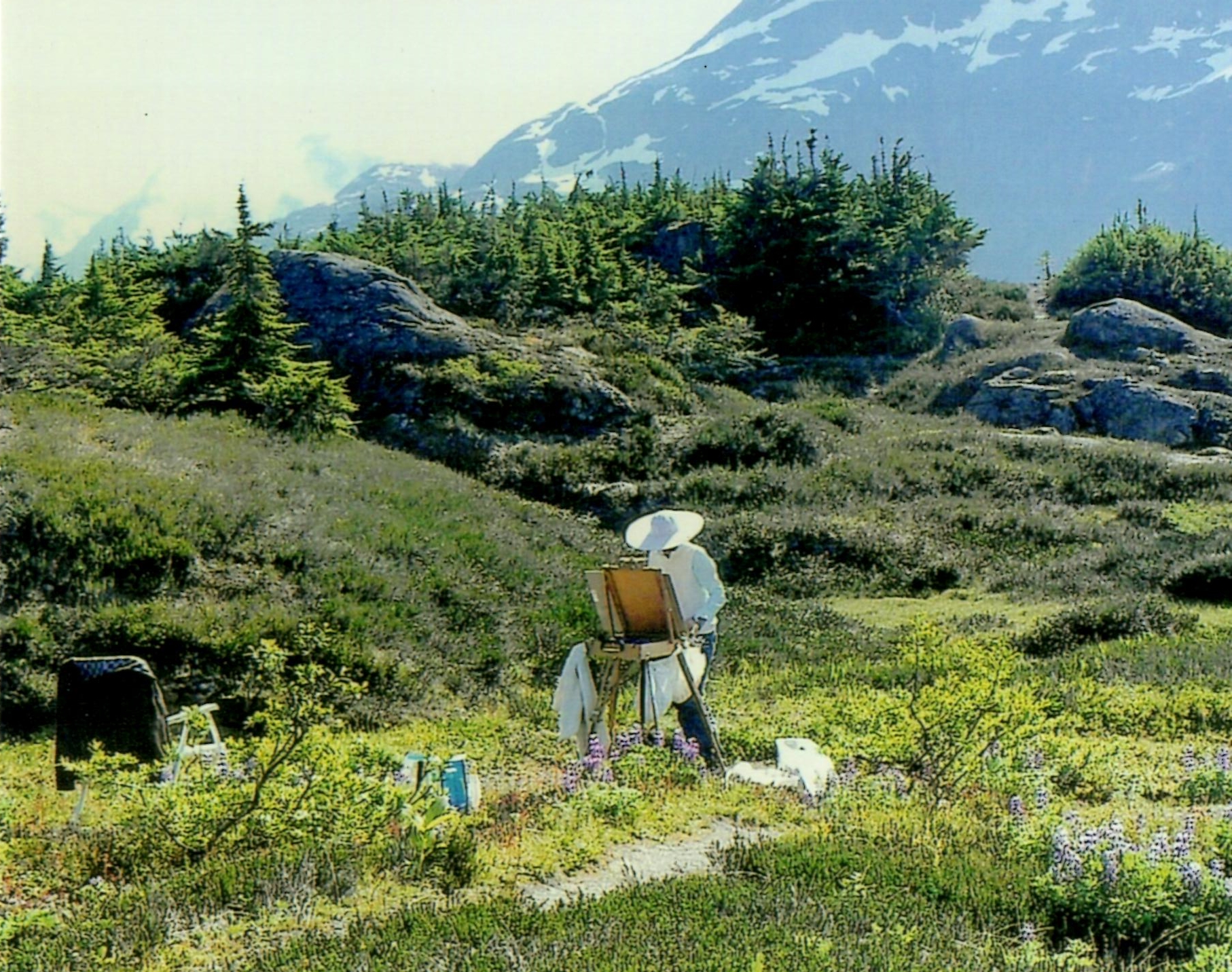 Angie Roth
McIntosh painting the alpine near Salmon
Glacier